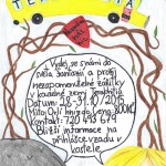 12080943_10203643251762239_2033975334_n